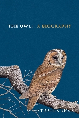 The Owl - Stephen Moss