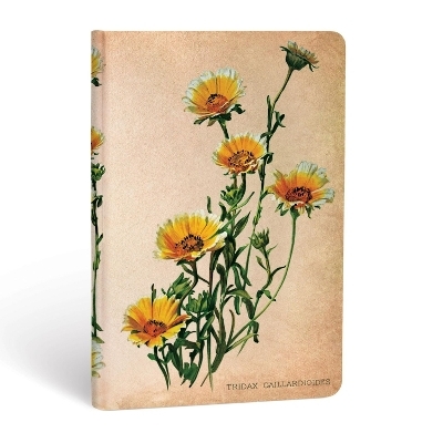 Woodland Daisies (Painted Botanicals) Mini Lined Hardcover Journal -  Paperblanks