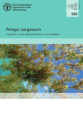 Pelagic sargassum -  Food and Agriculture Organization, Anne Desrochers