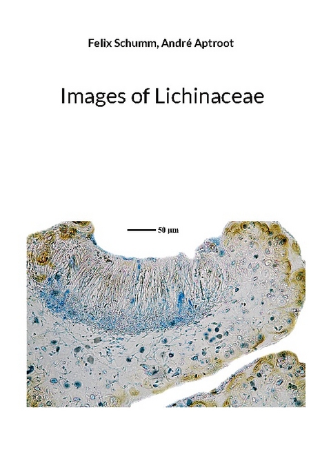 Images of Lichinaceae - Felix Schumm, André Aptroot