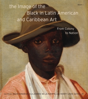 The Image of the Black in Latin American and Caribbean Art - 