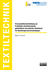 Prozesskettenentwicklung zur Produktion dreidimensional geflochtener keramischer Strukturen für Hochtemperaturanwendungen - Martin Kolloch