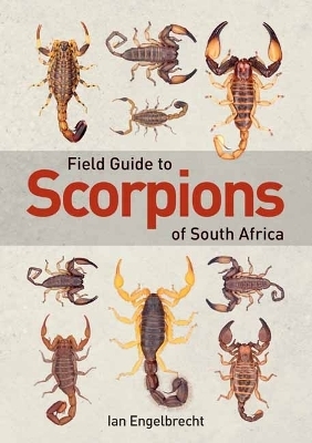 Field Guide to Scorpions of South Africa - Ian Engelbrecht