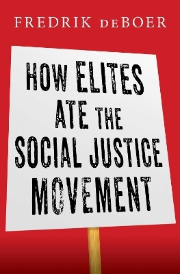 How Elites Ate the Social Justice Movement - Fredrik DeBoer