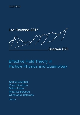 Effective Field Theory in Particle Physics and Cosmology - 