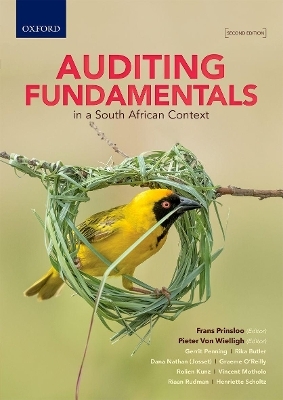 Auditing Fundamentals in a South African Context - Gerrit Penning, Rika Butler