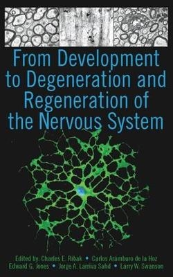 From Development to Degeneration and Regeneration of the Nervous System - 