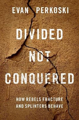 Divided Not Conquered - Evan Perkoski