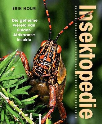 Insektopedie – Die geheime wêreld van Suider-Afrikaanse insekte - Erik Holm