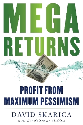 Mega Returns - David Skarica