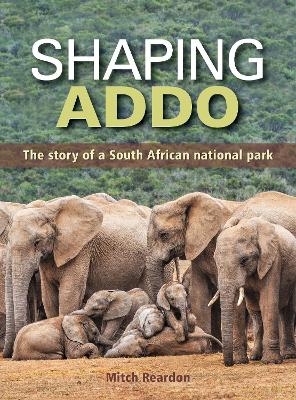 Shaping Addo - Mitch Reardon