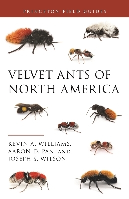 Velvet Ants of North America - Dr. Kevin Williams, Dr. Aaron D. Pan, Joseph S. Wilson