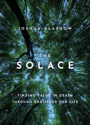 The Solace - Joshua Glasgow