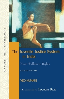 The Juvenile Justice System in India 2e - Ved Kumari