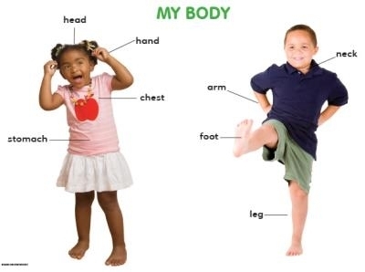 Chart: My body - starter version