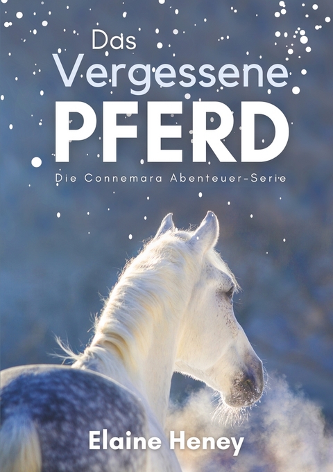 Das vergessene Pferd - Die Connemara Abenteuer-Serie - Elaine Heney