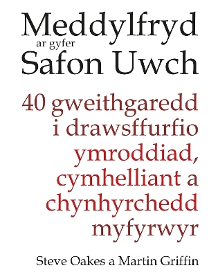 Meddylfryd ar gyfer Safon Uwch - Steve Oakes, Martin Griffin