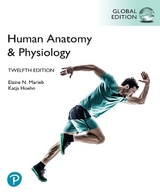 Human Anatomy & Physiology, Global Edition, (HB) - Marieb, Elaine; Hoehn, Katja