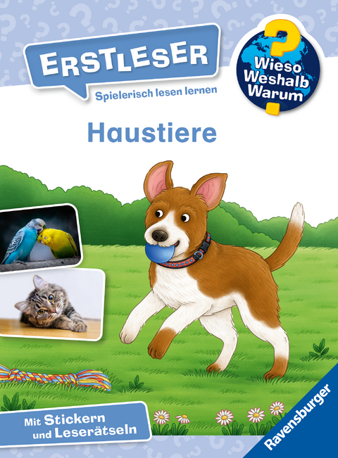 Wieso? Weshalb? Warum? Erstleser, Band 12: Haustiere - Karin Müller