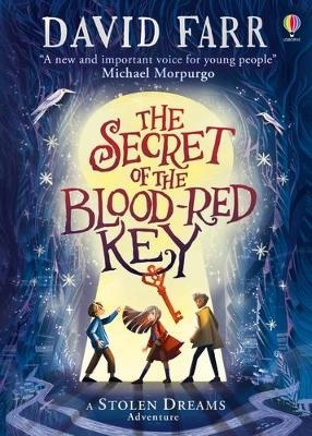 The Secret of the Blood-Red Key - David Farr