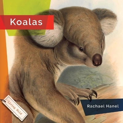 Koalas - Rachael Hanel