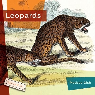 Leopards - Melissa Gish