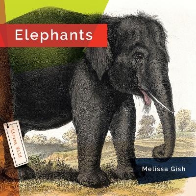 Elephants - Melissa Gish