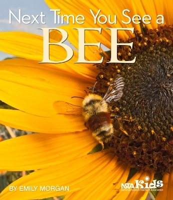 Next Time You See a Bee - Emily Morgan