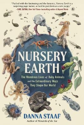 Nursery Earth - Danna Staaf