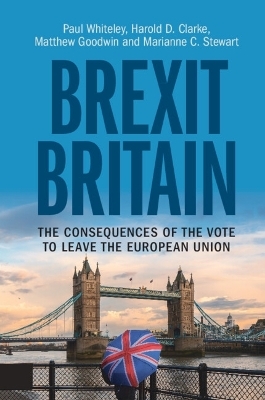 Brexit Britain - Paul Whiteley, Harold D. Clarke, Matthew Goodwin, Marianne C. Stewart