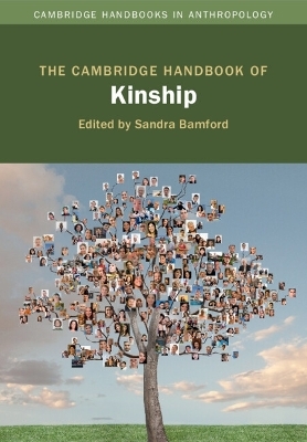 The Cambridge Handbook of Kinship - 