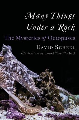 Many Things Under a Rock - David Scheel