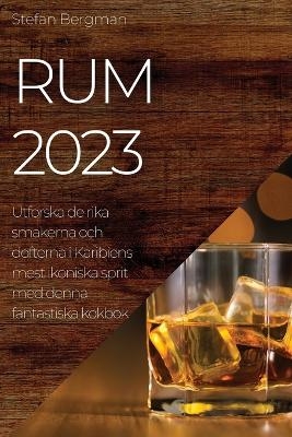 Rum 2023 - Stefan Bergman