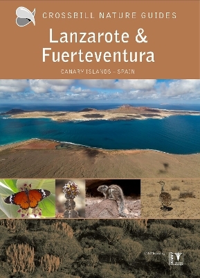 Lanzarote and Fuerteventura - Dirk Hilbers