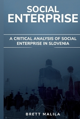 A Critical Analysis of Social Enterprise in Slovenia - Brett Malila