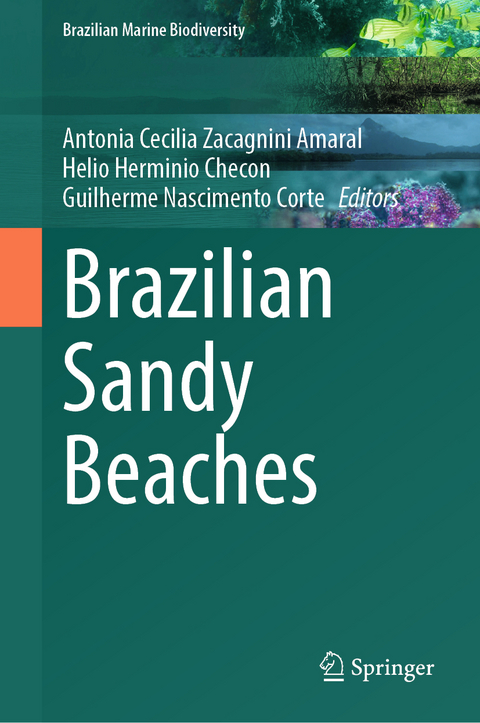 Brazilian Sandy Beaches - 