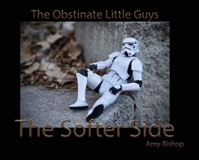 The Softer Side - Amy Bishop