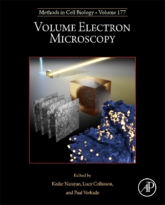 Volume Electron Microscopy - 