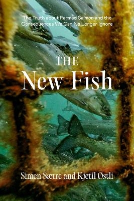 The New Fish - Simen Saetre, Kjetil Ostli