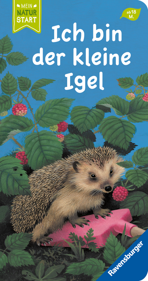 Ich bin der kleine Igel - Gisela Stottele