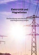 Elektrizität und Magnetismus - Die Beziehung zwischen Elektrizität und Magnetismus erklärt - Kalle Klaus