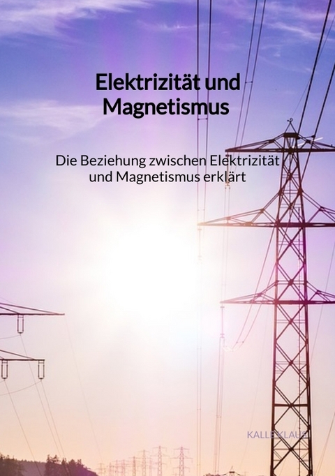 Elektrizität und Magnetismus - Die Beziehung zwischen Elektrizität und Magnetismus erklärt - Kalle Klaus