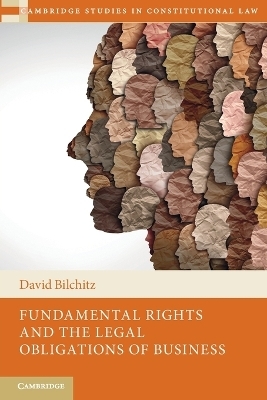 Fundamental Rights and the Legal Obligations of Business - David Bilchitz