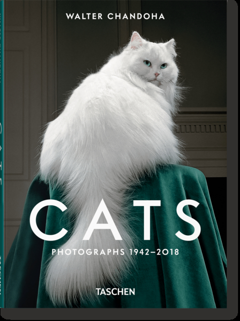 Walter Chandoha. Cats. Photographs 1942–2018 - Susan Michals