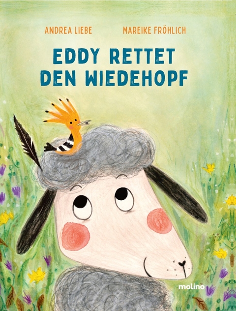 Eddy rettet den Wiedehopf - Mareike Fröhlich