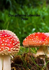 Das geheime Leben der Pilze - Luisa Müller