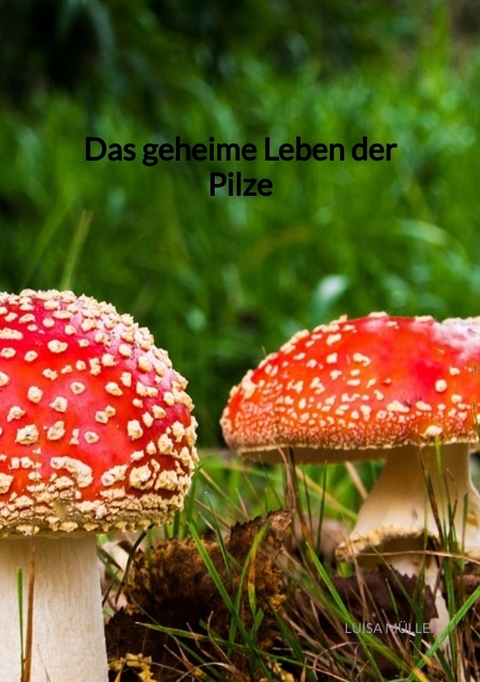 Das geheime Leben der Pilze - Luisa Müller