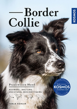 Border Collie - Tanja Köhler