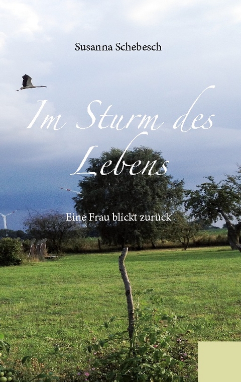 Im Sturm des Lebens - Susanna Schebesch