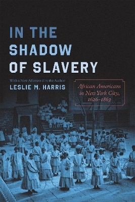 In the Shadow of Slavery - Leslie M. Harris